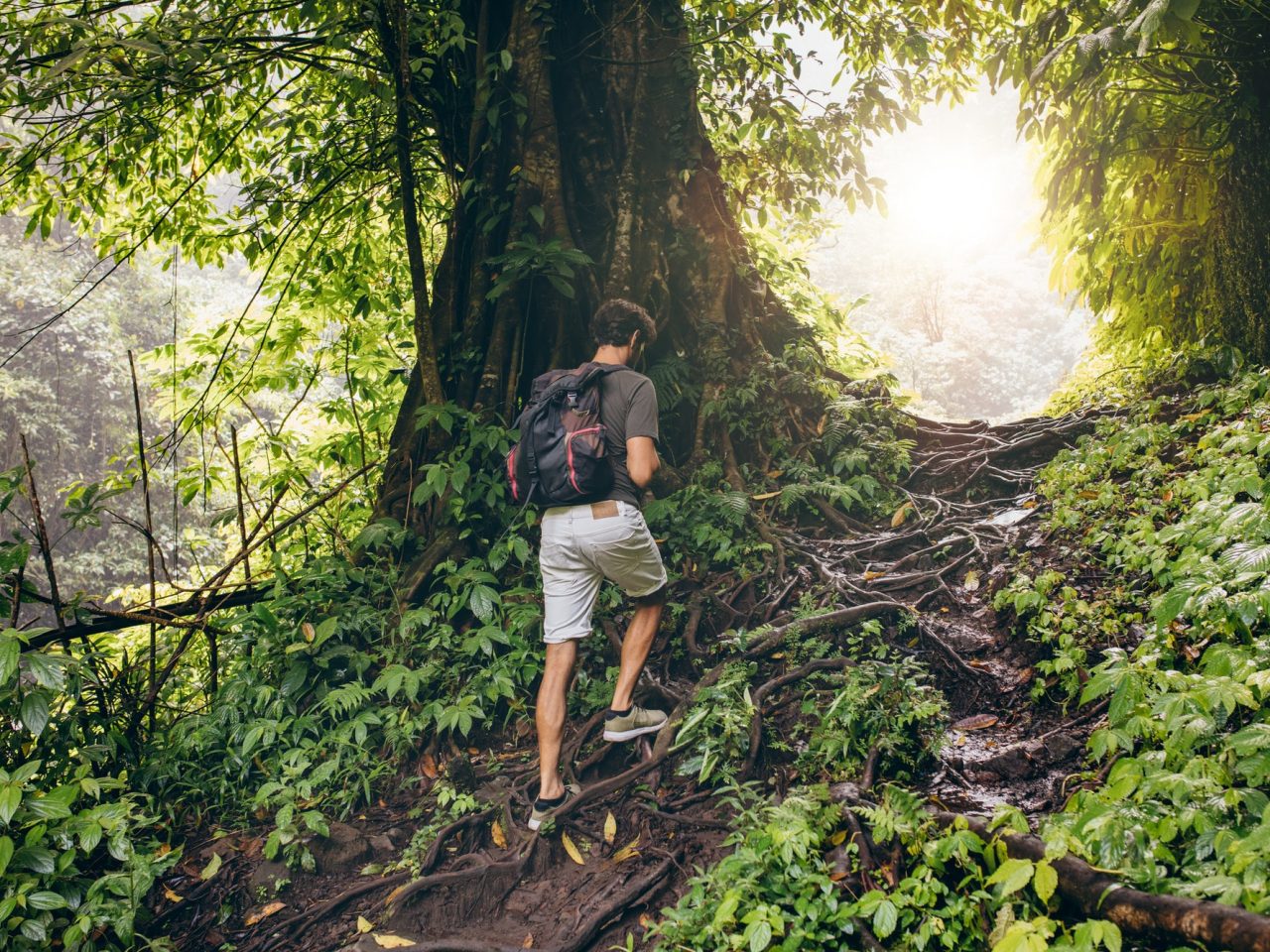 people-hiking-in-tropical-jungle.jpg